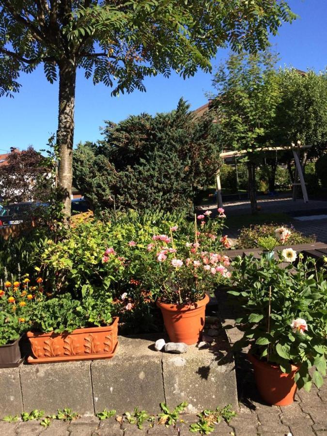 Silberdistel Sonthofen Appartamento Esterno foto